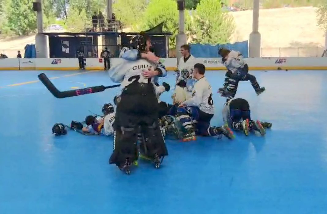 La alegría de los integrantes del Club Hockey Línea Aranda tras proclamarse campeones de España. / CHLA