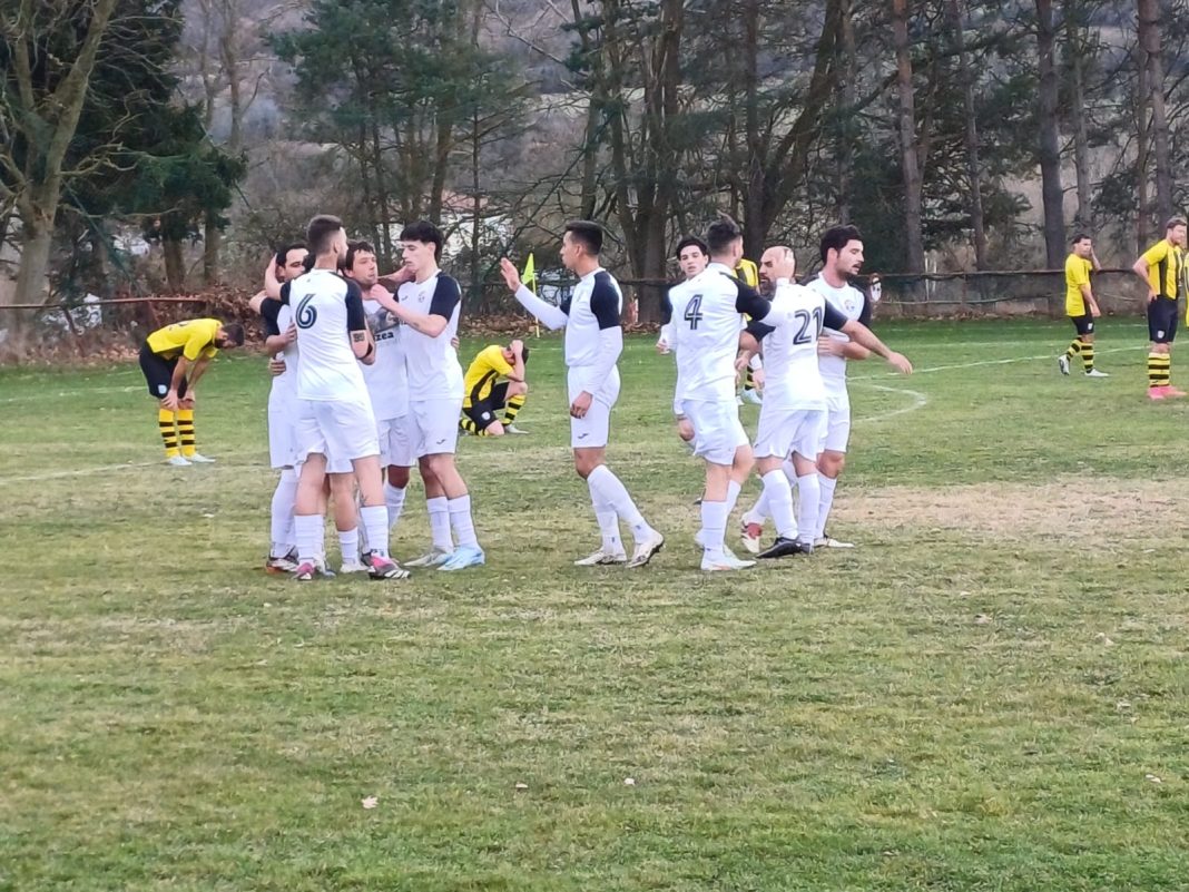 La alegría de los azulones -de blanco ante el Montija- tras uno de los tantos logrados en Villsante. / DUERO Deporte