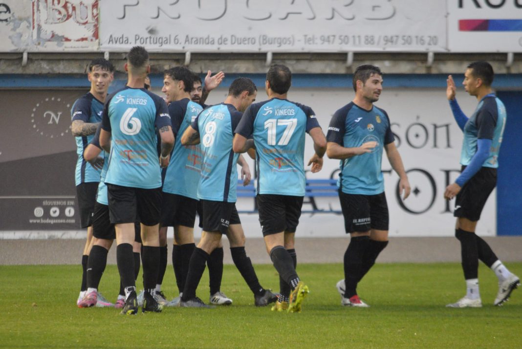Los jugadores del Aranda Riber celebran uno de los 37 goles que han logrado hasta el momento en Liga Provincial. / Aranda Riber