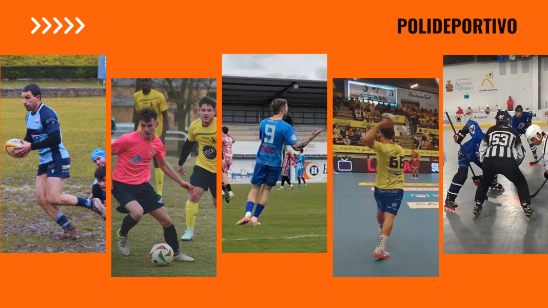 Rugby Aranda, el Trofeo Diputación, Arandina, Villa de Aranda y los Erizos Rudos. / DUERO Deporte