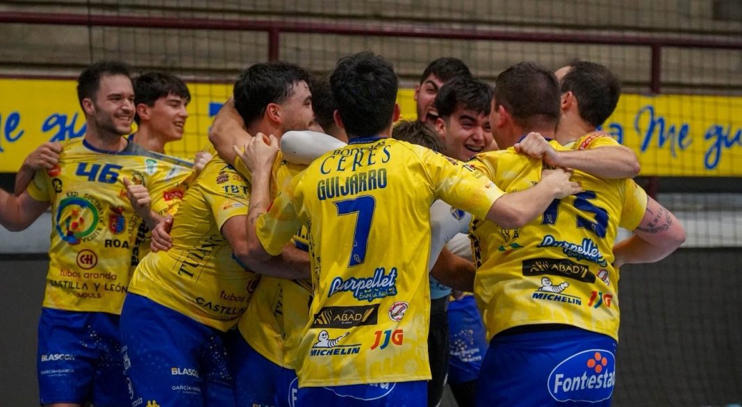 Los integrantes del Red Solidaria Ribera Villa de Aranda tras proclamarse campeones de Castilla y León. / Villa de Aranda