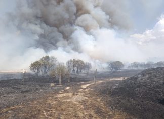 El incendio forestal de La Calabaza arrasa el campo de tiro ‘Andrés Cabestrero’ Imagen del fuego en el entorno del campo de tiro 'Andrés Cabestrero' totalmente arrasado. / DUERO Deporte