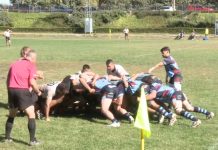 Rugby Aranda se coloca como colista tras ceder ante Gaztedi (15-31) Una de las melés del encuentro entre Rugby Aranda y Gaztedi en el Virgen de las Viñas. / Telearanda
