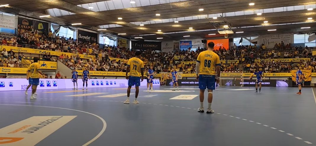 Villa de Aranda y afición quieren hacer funcionar el binomio que tantos puntos les ha otorgado en el Santiago Manguán. / DUERO Deporte